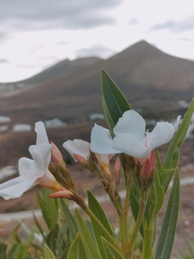 La Morreta Suites II - Lanzarote Tías Dış mekan fotoğraf